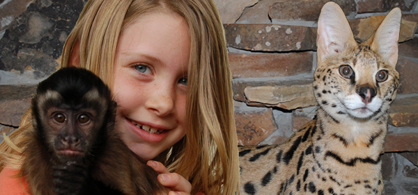 Our Animals